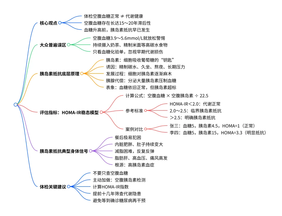 HOMA-IR 的思维图 HOMA-IR 的思维图